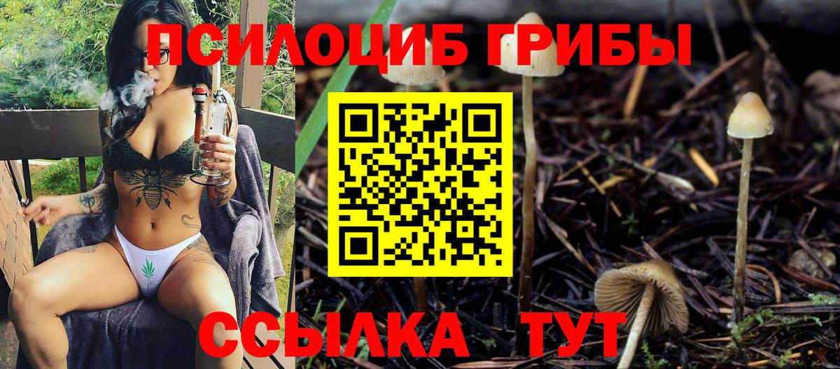 Галлюциногенные грибы MAGIC MUSHROOMS Новочебоксарск