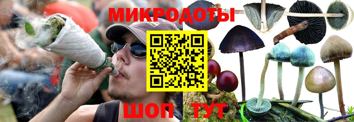 Галлюциногенные грибы GOLDEN TEACHER  Вход с VPN  Новочебоксарск 